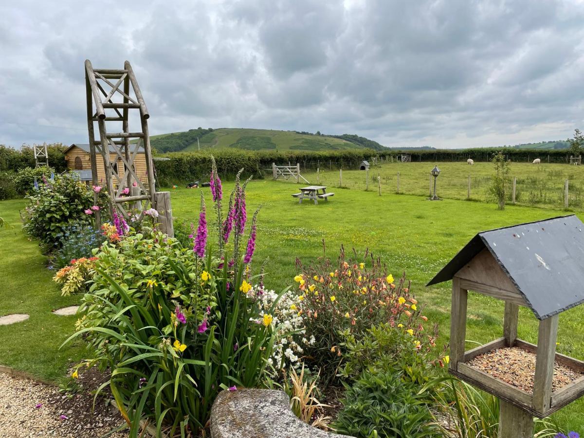 Westerley Country B & B With Exclusive Guest Lounge บัคฟาสต์ลีย์ ภายนอก รูปภาพ