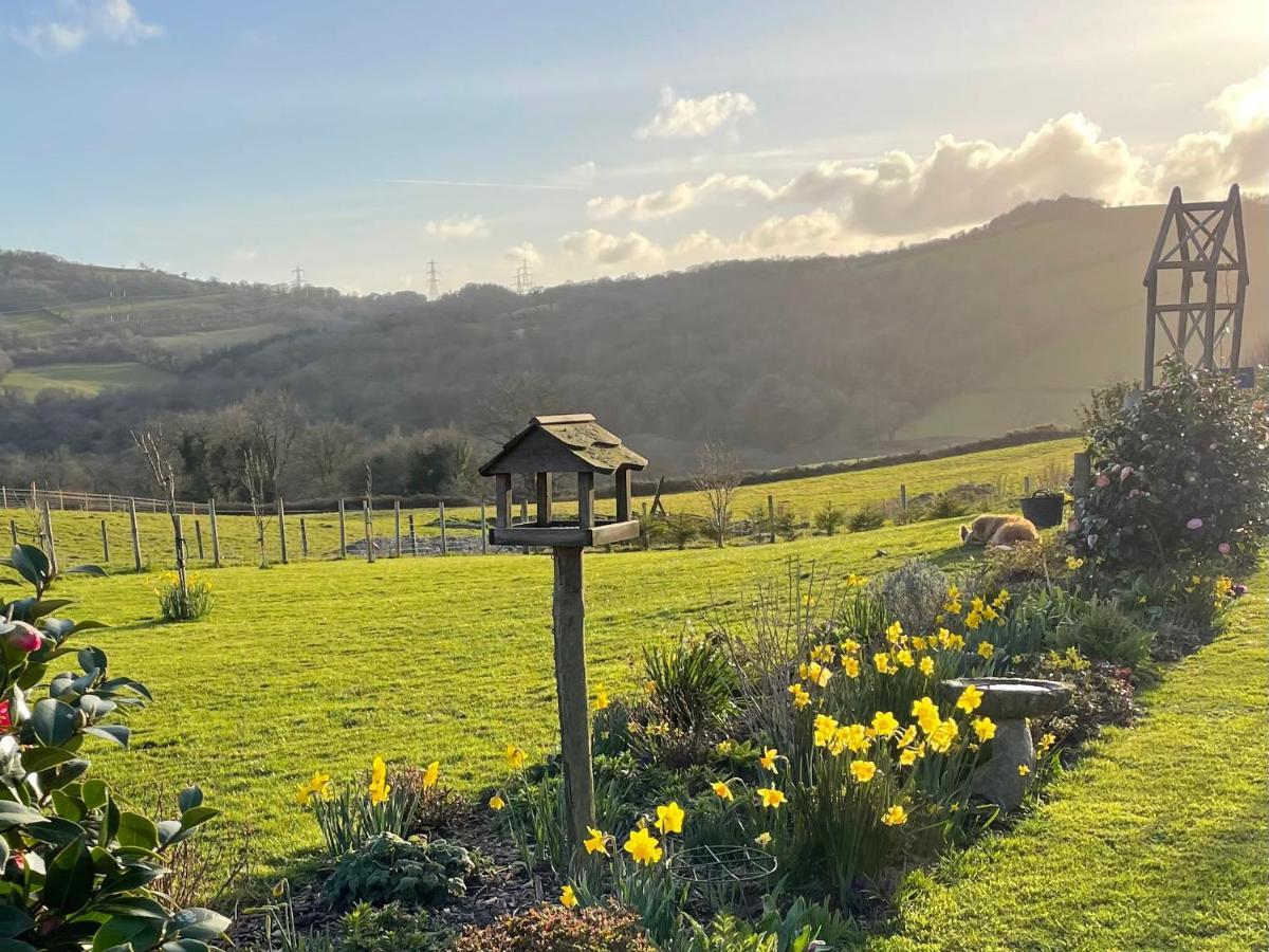 Westerley Country B & B With Exclusive Guest Lounge บัคฟาสต์ลีย์ ภายนอก รูปภาพ