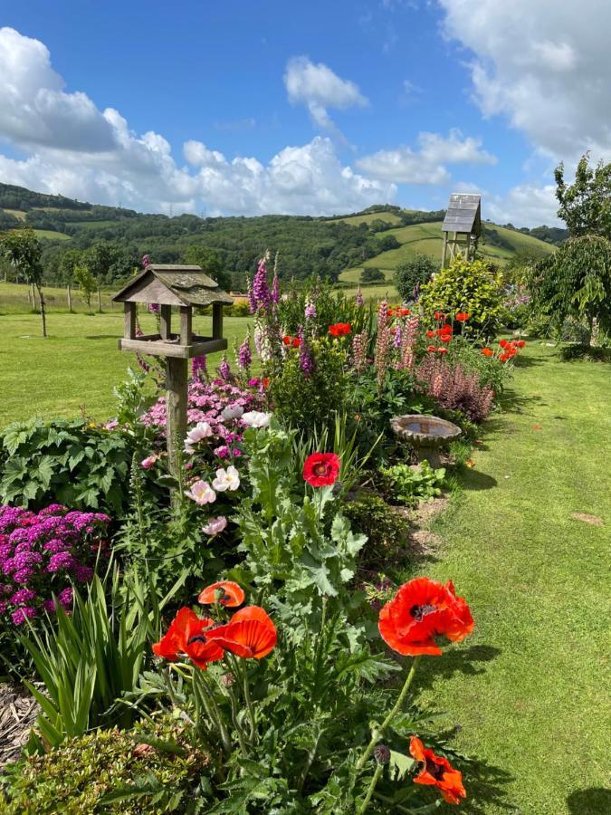Westerley Country B & B With Exclusive Guest Lounge บัคฟาสต์ลีย์ ภายนอก รูปภาพ
