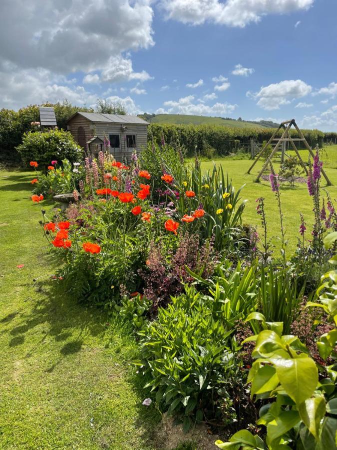 Westerley Country B & B With Exclusive Guest Lounge บัคฟาสต์ลีย์ ภายนอก รูปภาพ